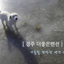 더조은펜션 이미지