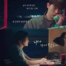 백이진으로 시작해서 백fox으로 끝나는 한 주~ (feat. 스물다섯 스물하나, 소피텔 호캉스, 속초 여행)