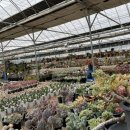 마옥농장 이미지