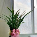 더원 행정사사무소 이미지