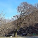 의령 백련암 목조보살좌상과 복장유물 이미지