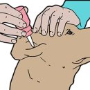 이음동물의료센터 이미지