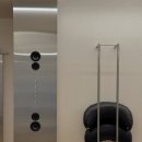 남춘로26번길 | 춘천미용실 :: 찐 내돈내산 아오유우 염색, 긴머리 컷트 후기