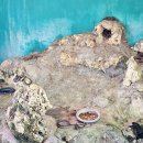 성하돼지집 | 오키나와월드 하마베노차야 국제거리 포장마차거리 다이와로이넷 호텔