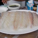 왜목마을좌대낚시터 이미지