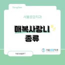 박영민치과의원 이미지