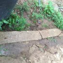 댄디농장 이미지