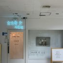 소소사진관 | 수지구청역 인근 가족사진 가성비 당일 촬영 가능 돌사진 증명사진 추천 소소한컷 사진관