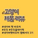 올데이펫 | 네이버 펫 바우처 앰배서더 3기, 두잇 올데이랙 후기