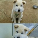 낭만실조