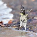 평화머리방 - 구미시 | 평화머리방