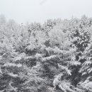 시트린펜션 이미지