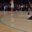 WNBA 경기 도중 대참사 이미지