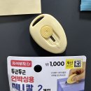고한읍사무소 | 5월 3주차의 구석들