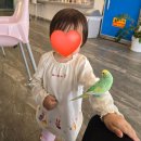 버드리대전 | 대전 아기랑 실내 '버드리' 앵무새 카페 feat. 18개월 아기 발달