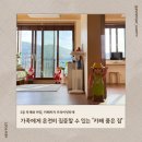 ㈜다산식자재마트 | 남양주 펜션 마당 있는 감성 숙소 카페품은집 방문 후기 아이랑