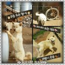 황준목장 이미지