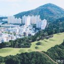 연산동고분군 이미지