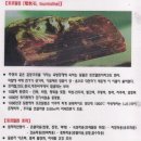 토마린 우리대리점 Daum카페