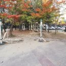 한빛7단지부동산공인중개사사무소 이미지