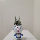 최현영한의원 이미지