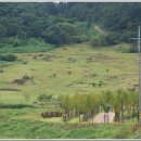 선운산안내소 이미지