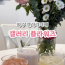 갤러리플라워즈 이미지
