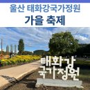 공중전화 부스 옆 | 울산 태화강 국가정원 가을축제 방문후기 | 핑크뮬리·국화정원·주차