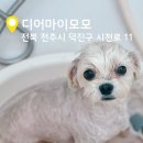 디어마이모모 네이버블로그