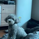 임자중학교 | 2025