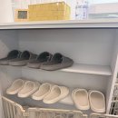 이정훈 강아지 | 하남 애견분양 하남강아지분양 이정훈강아지 하남본점에서 만난 새침떼기 말티즈 공주님