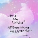 새론 Daum카페