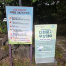 느랭이골 자연휴양림 일반야영장 | 제주도 캠핑 추천 교래자연휴양림 야영장 후기 꿀팁 총정리