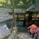 용인가든 | 북한산 계곡 닭도리탕 - 용인 가든