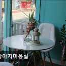 (주)대풍환경 | (평택, 강아지, 고양이, 애견미용, 추천!) 내강아지미용실 평택 내강아지미용실, 맞춤 케어로 인기