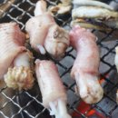 김인철동해장어막회 이미지