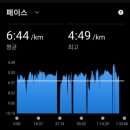 제주 신례리 왕벚나무 자생지 | (번개훈련)광교호수공원_LG러닝크루