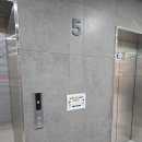 경희대신화태권도장 이미지