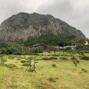 연천부동산공인중개사사무소 이미지