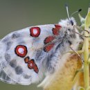 한국폴리텍 I 대학 성남캠퍼스 이미지