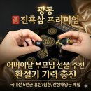 광동 | 어버이날 환절기 부모님 선물 추천, 광동 진흑삼 프리미엄 솔직 후기