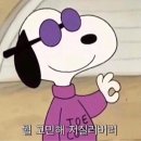 성정집 이미지