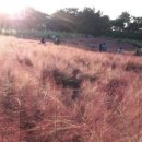 노을정원 이미지