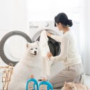 99 이미지