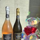 제노젠 | 노제코논알콜릭스파클링 저칼로리 와인 추천