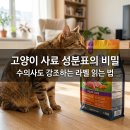 현창백동물심장연구소 | 빽빽한 사료 성분표, 사진 한 장으로 10초 만에 분석하는 실전 가이드
