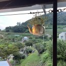 시골할매쌈밥 | [남해] 시골할매막걸리 :: 멸치쌈밥으로 유명한 다랭이마을 맛집