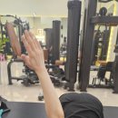 유니크바디PT압구정
