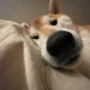 세란통마취통증의학과의원 이미지