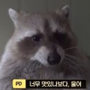 효심마켓 이미지